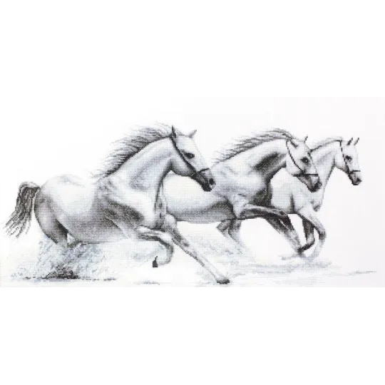 Chevaux blancs SB495