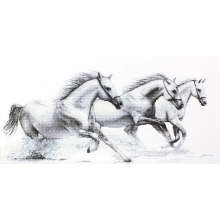 Chevaux blancs SB495