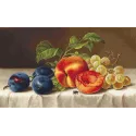 Petit Point Kit "Still Life" SG592