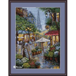 Paris pluvieux SK162