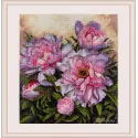 Tender Peonies SK177