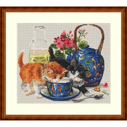 Kačiukai ir pienas SK66