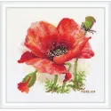 Coquelicot rouge SK187