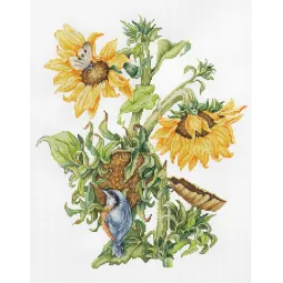 (Ausgemustert) September SB7004