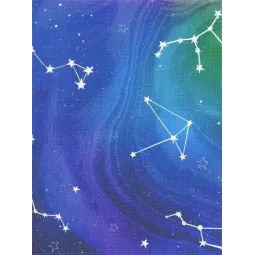 Канва Aida №14 21*30 SKD14-171