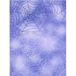 Toile Aïda de designer 14 30x40 cm SKD14-098