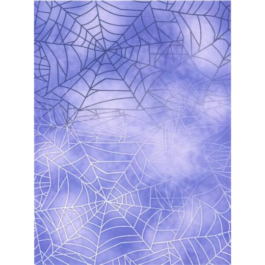 Toile Aïda de designer 14 30x40 cm SKD14-098