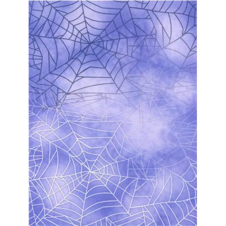 Toile Aïda de designer 14 30x40 cm SKD14-098