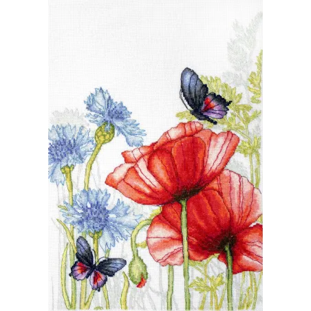 Coquelicots et papillons SBU4018