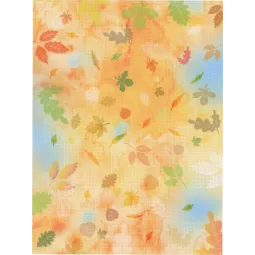 Designer-Leinwand Aida 18 40x30 cm SKD-106