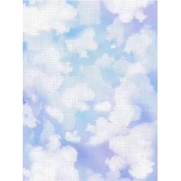 Designer-Leinwand Aida 14 21x30 cm SKD14-101