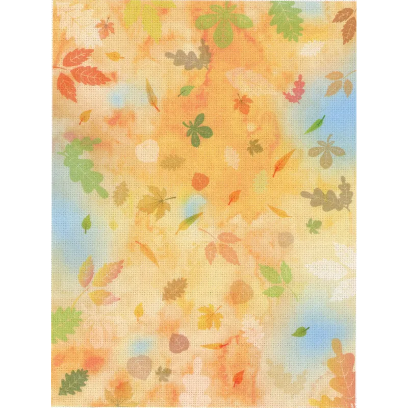 Designer-Leinwand Aida 14 21x30 cm SKD14-105