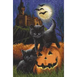 Мы вас напугали? SLETI964