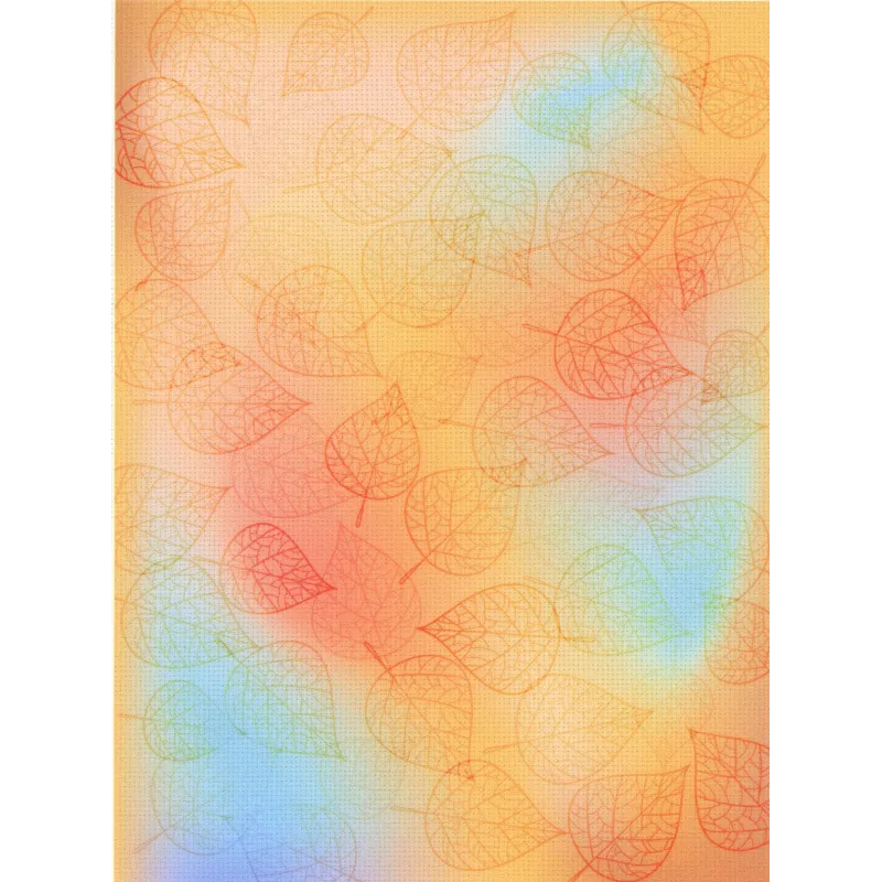 Toile de créateur Aida 18 40x30 cm SKD-108