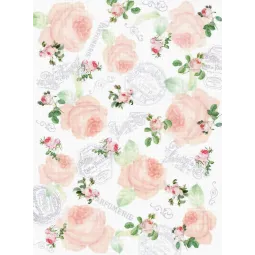 (D) Designer canvas Aida 18 40x30 cm SKD-136