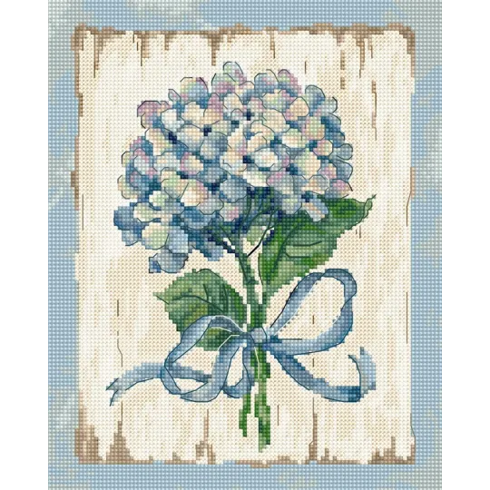 (D) BLEU II SLETI973