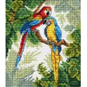 Parrots SM-033 (D)