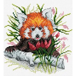 Gingembre Panda SM-128 (D)