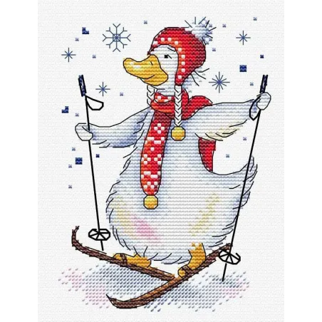 Skiing SM-437 (D)