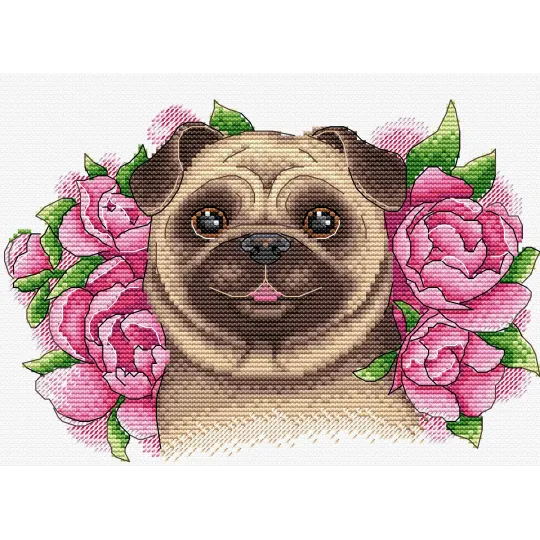 Зачарованный Друг SM-504