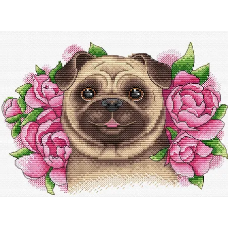 Зачарованный Друг SM-504