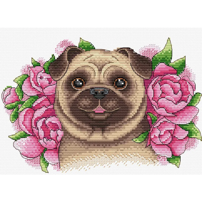 Charmed Friend SM-504 (D)