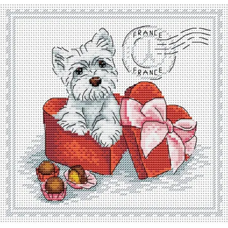 Mon meilleur ami. France SM-071