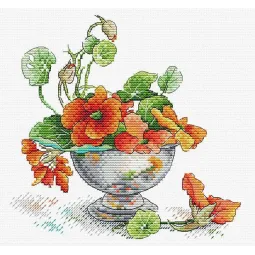 Nasturtium SM-610 (D)