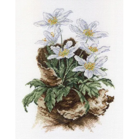 Kreuzstich-Set "Erste Blumen" SNV-567