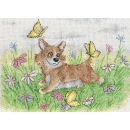 (Arrêt) Summer Walk SNV-569