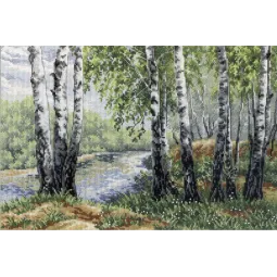 Im Birken Schatten SNV-571