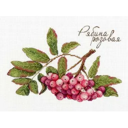 Cadeaux de la nature. Sorbiers roses SNV-693
