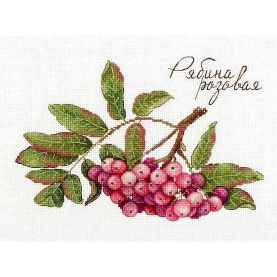 Cadeaux de la nature. Sorbiers roses SNV-693