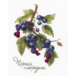 Geschenke der Natur. Schwarze Johannisbeere SNV-694