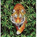 Maître de la jungle SNV-756