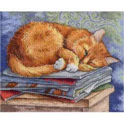 Chat étudiant SNV-595