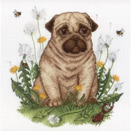 Chiot SNV-613