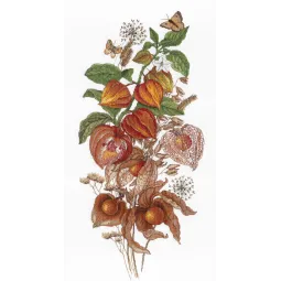 Smaragdbeere SNV-614