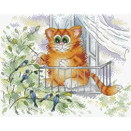 SALE Ginger Conductor SM-361 (D)