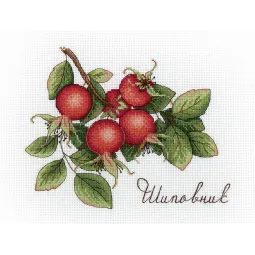 Дары природы. Шиповник SNV-630