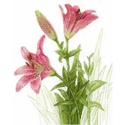 Ausverkauf Weiche Lilien SNV-632