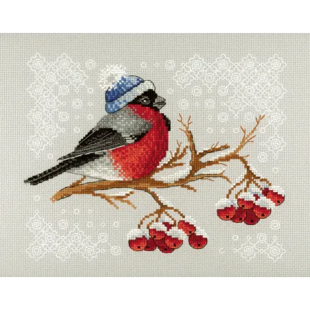 Winter Colours SNV-642