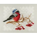 Winter Colours SNV-642