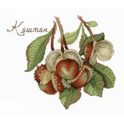 Cadeaux de la nature. Châtaigne SNV-672