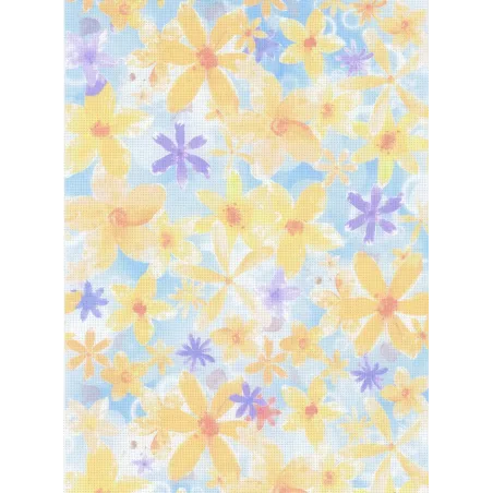 Dizainerio drobė Aida 14 30x40 cm SKD14-138