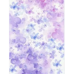 Canvas Aida №14 21*30 SKD14-147