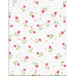 Toile Aida №14 21*30 SKD14-153