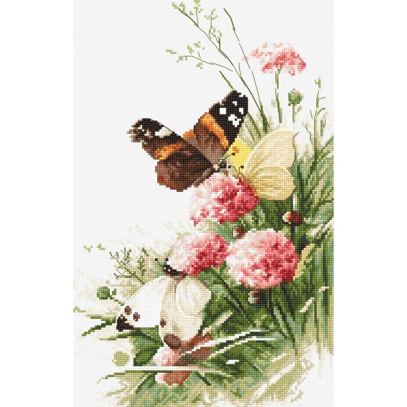 Бабочки в Поле SLETI938