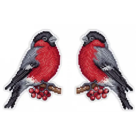 Žiemos pasiuntinys SR-156