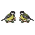 Birds SR-157